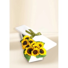 Sunflower Sensation 10